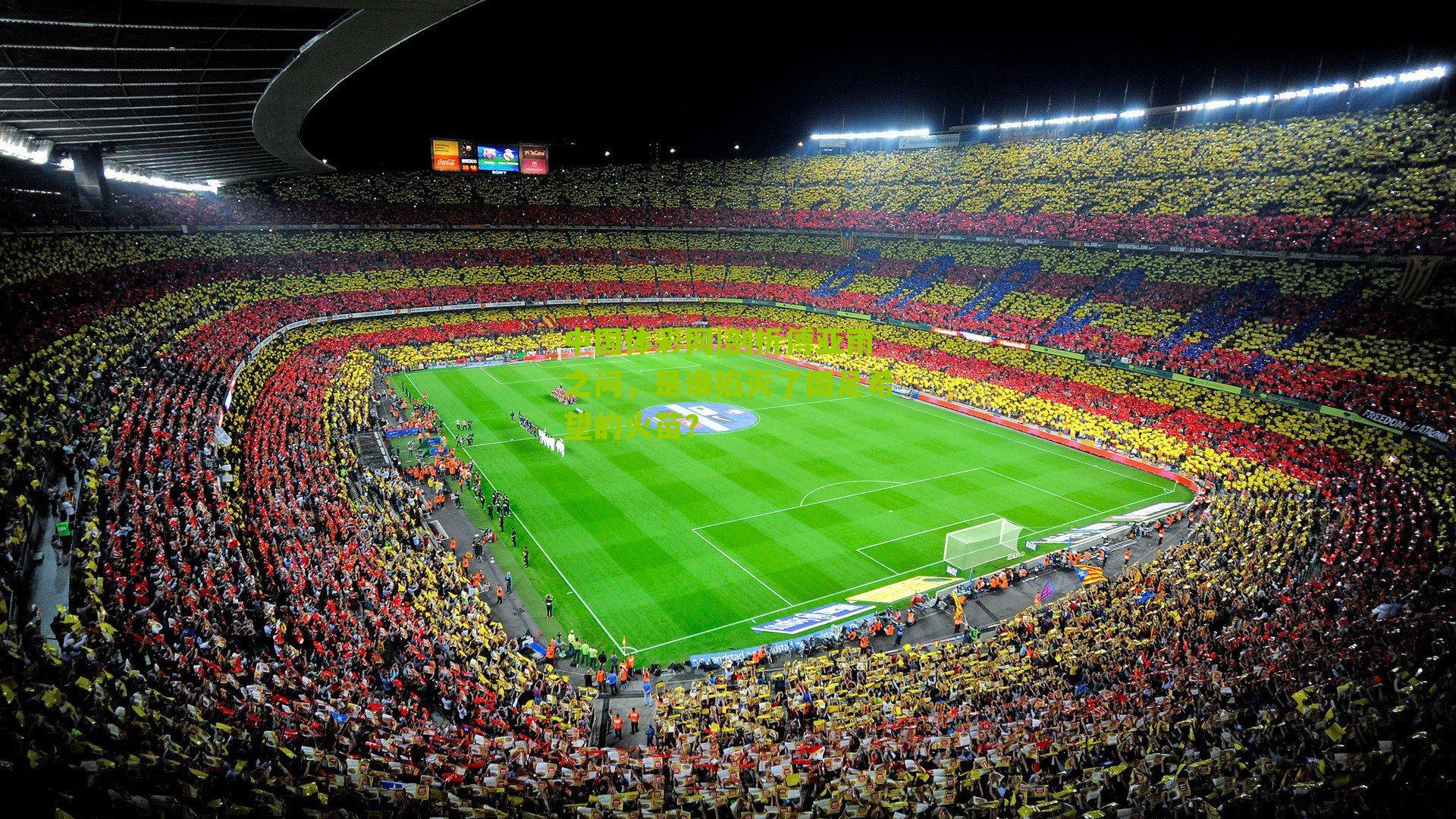 剖析傅亚雨之问，是谁掐灭了国足希望的火苗？