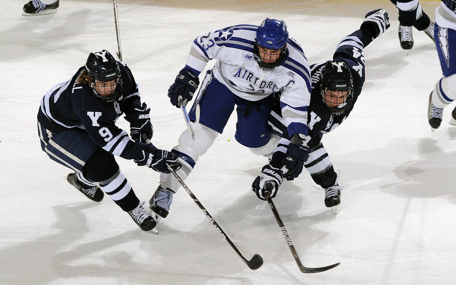 2018黄金总决赛巅峰对决圆满落幕 年度总冠军荣耀加冕